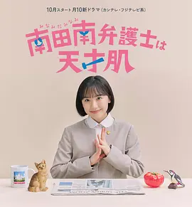 非常律师南田南